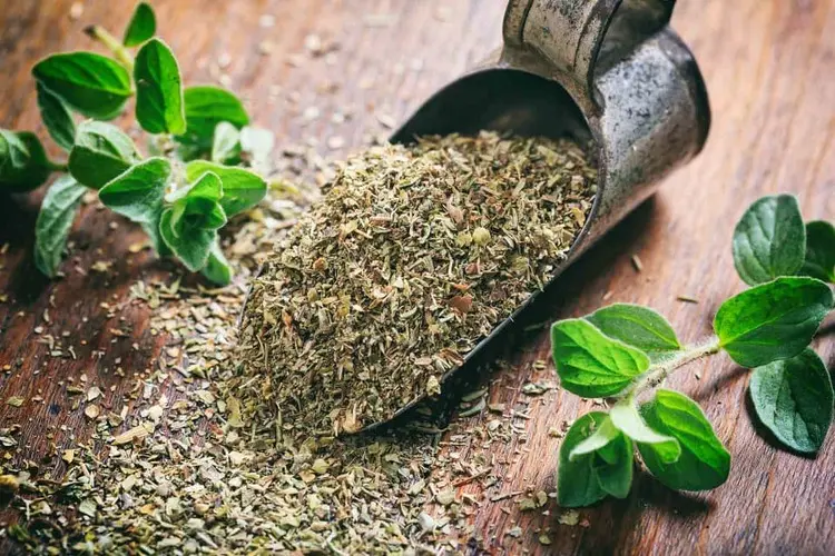 تقویت اعصاب و درمان افسردگی با مصرف یک جوشانده سنتی | با این گیاه نیاز به روانشناس ها گرون نیست