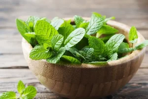 این سبزی سرفه را درمان، رشد مو را زیاد و تهوع را برطرف می کند