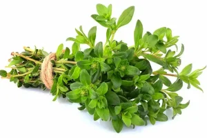 این گیاهان مخصوص پاکسازی کبد شما