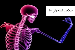 این سه خوراکی سلامت استخوان های شما را تضمین می کند