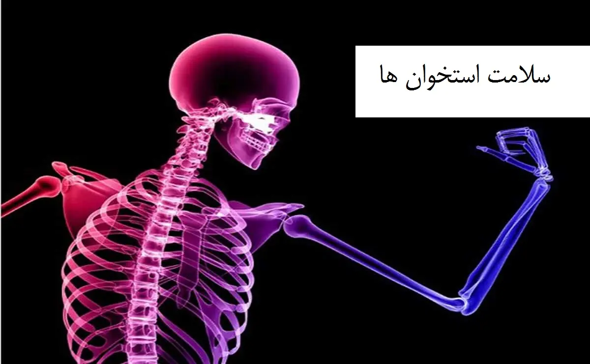 این سه خوراکی سلامت استخوان های شما را تضمین می کند