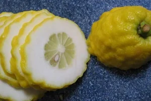 این میوه پاییزی یک کبد و معده و صفرا صفر کیلومتر تحویل تان می دهد
