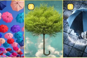تست شخصیت شناسی | آدم عصبی ای هستی یا از دعوا و بحث دوری میکنی؟