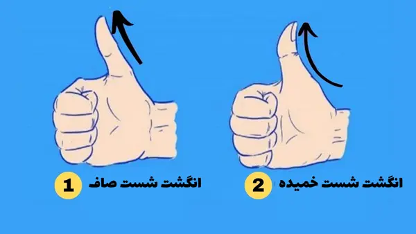 تست شخصیت شناسی | طالع بینی دقیق از روی شکل و ظاهر انگشت شست شما