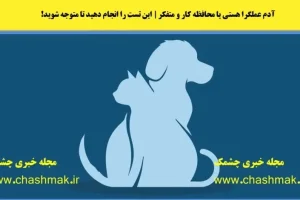 تست شخصیت شناسی | چقدر میتونی واسه آیندت رو شریک عاطفیت حساب باز کنی؟