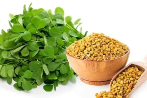این سبزی داروی گیاهی دیابت | صد در صد تضمینی !