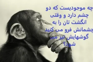 چیستان روز | چه موجودیست که دو چشم دارد و وقتی انگشت تان را به چشمانش فرو می کنید گوشهایش تیز می شود؟