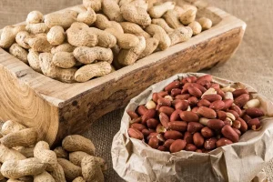 این دانه منبع درجه یک بیوتین، مس، منیزیم، منگنز و فسفر در دنیاست