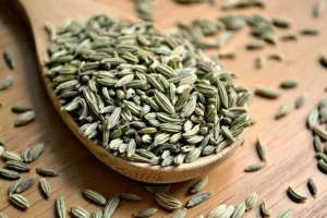 گیاهی پر از خاصیت که در زبان عربی به شمر و نابود کننده ام الامراض معروف است