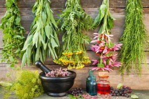 آرامبخش‌های گیاهی برای طبع‌های مختلف