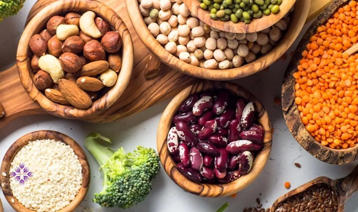 دیگر گوشت نخورید | ۱۲ منبع پروتئین گیاهی را بشناسید