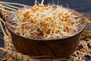 به جای کاشت مو این جوانه را مصرف کنید | تا ماه آینده موهای درهم تنیده داشته باشید