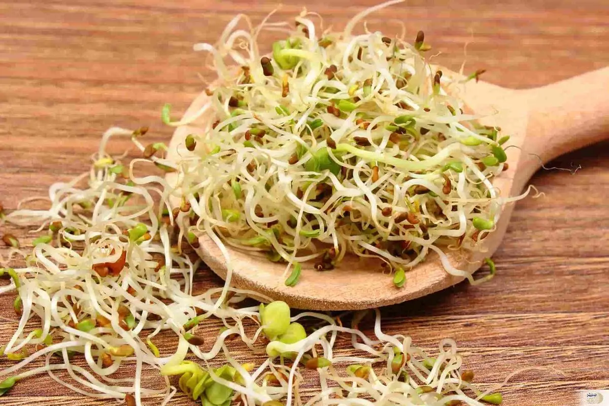 بهبود کبد چرب ، کاهش چربی و قند خون با این خوراکی