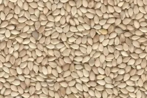 دانه هایی که در ناشتای صبحانه حتما باید مصرف شود | غذای سربازان در ایران قدیم فقط این دانه ها بوده است