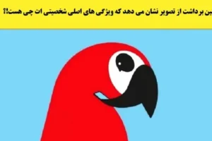 تست شخصیت شناسی | اولین برداشتتون از این تصویر حقایق پنهانی از شمارو آشکار میکنه!