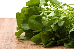 این سبزی در درمان سرطان مثل شیمی درمانی عمل می‌کند + جزئیات