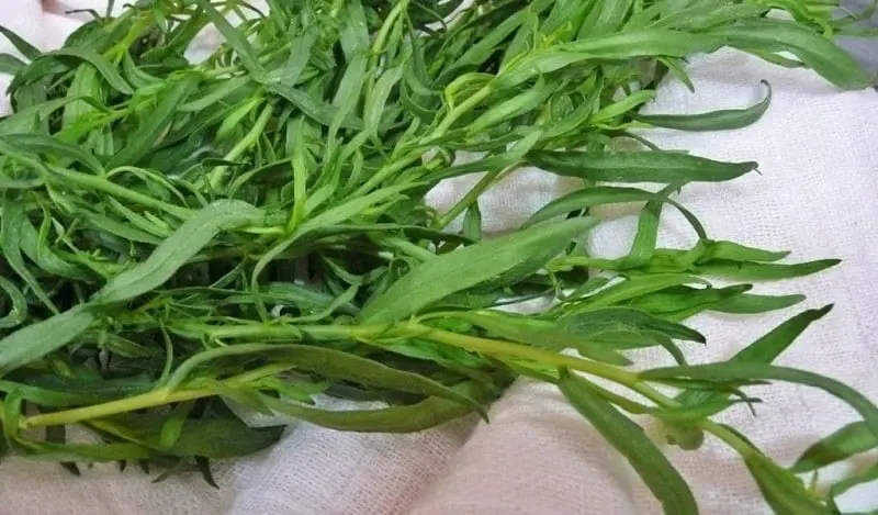 این سبزی اثر ضد درد و ضد عفونت دارد