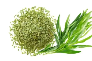 دندان درد دارید ؟ فقط با این سبزی بدون مراجعه به پزشک درمان شوید