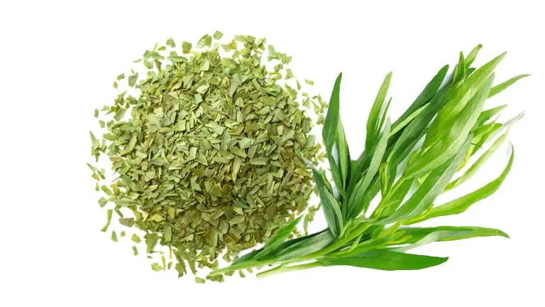 دندان درد دارید ؟ فقط با این سبزی بدون مراجعه به پزشک درمان شوید