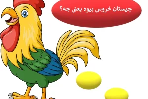 چیستان روز | چیستان خروس بیوه یعنی چه؟ جواب این چیستان به عقل جن هم نمی رسد!