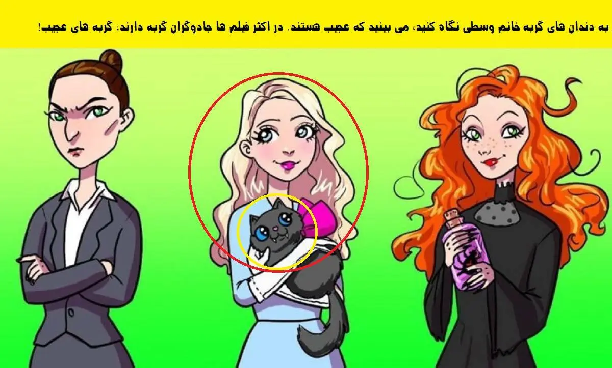 تست هوش