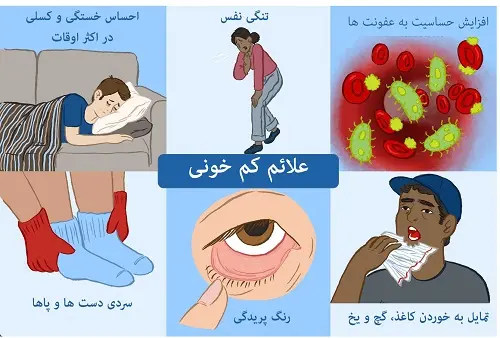 روش های خانگی و طلایی برای درمان کم خونی