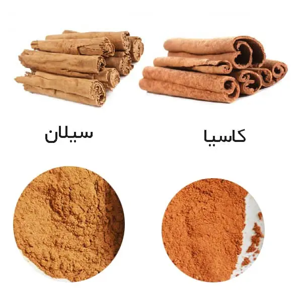 darchin-asl-taghalobi-1