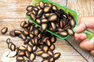 با تخمه این میوه هوشتو 1000 کن