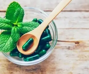 با این چرک خشک کن گیاهی تموم عفونت هارو از بین ببر | قویترین آنتی بیوتیک گیاهی برای درمان عفونت بدن