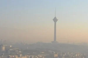 تو هوای آلوده بدنت و اینجوری سم زدایی کن