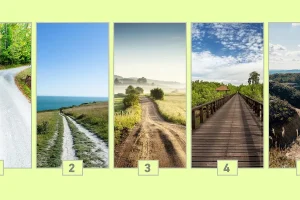 تست شخصیت شناسی | مسیر زندگی تو با انتخاب یک تصویر مشخص کن