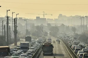 با این خوراکی های ارزان قیمت بدن خودتون رو تو این هوای کثیف ایزوله نگه دارید