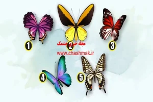 طالع بینی | میخوای از آیندت یه اطلاع کوچیک داشته باشی؟ یه پروانه انتخاب کن