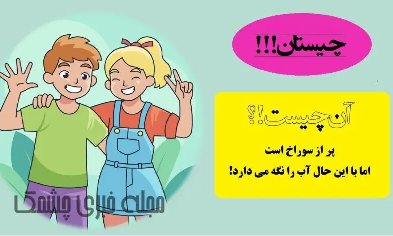 چیستان روز | پر از سوراخ است، اما با این حال آب را نگه می دارد!