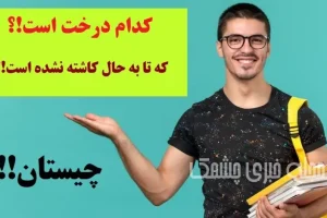 چیستان روز | کدام درخت است که تا به حال کاشته نشده است!؟