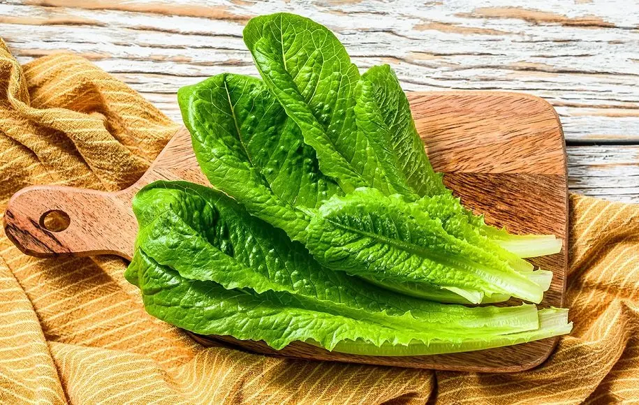 هر کسی این سبزی را کنار ناهار و شام مصرف کرده است به بیماری قند خون مبتلا نشده است