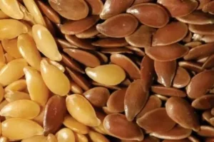ترکیب 7 دانه پادشاه شما را از ناشتا تا شام سیر و قوی نگه می دارد + درمان قند خون و چربی سوزی و عضله سازی
