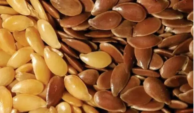 ترکیب 7 دانه پادشاه شما را از ناشتا تا شام سیر و قوی نگه می دارد + درمان قند خون و چربی سوزی و عضله سازی