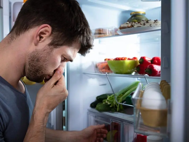 بوی بد یخچالو با این مواد دم دستی و ارزان قیمت از بین ببرید