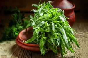 این گیاهان به آنتی هیستامین طبیعی معروف اند