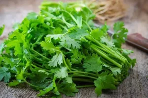 این سبزی را هر روز مصرف کنید | سه برابر پرتقال ویتامین ث دارد و 2 برابر اسفناج آهن دارد به همین دلیل مانع ریزش مو میشود