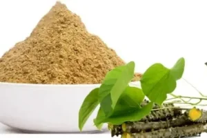 این گیاه یک داروخانه سیار است