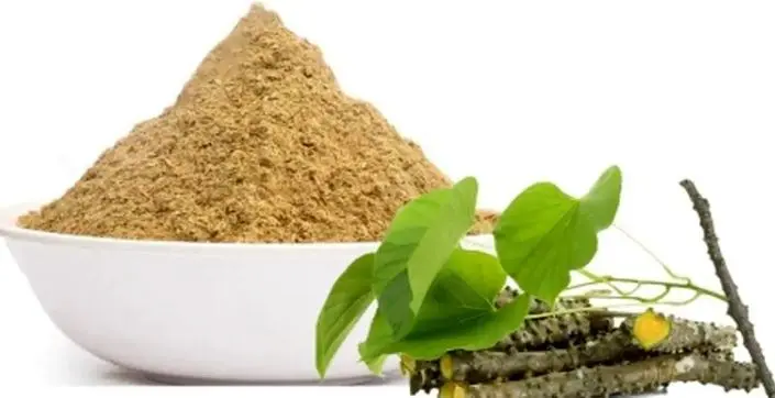 این گیاه یک داروخانه سیار است