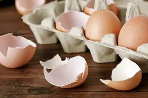 ترفند تیز کردن تیغه خورد کن و آسیاب با پوست تخم مرغ | خیلی ها بلند نیستن این روش رو + ویدیو آموزشی