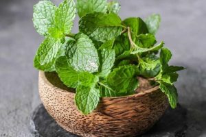این گیاه ضد میکروبی برای بدن معجزه میکنه | تمام امراض بدنتو با این گیاه درمان کن