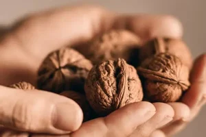 خواص گردو برای مشکلات مردانه که کمتر کسی بهتون گفته | خواص گردو برای آقایون