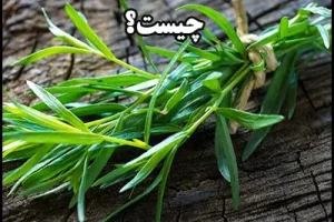 این سبزی منبع بسیار خوبی از آهن، کلسیم و منگنز است | استحکام استخوان، دندان، حفظ سلامت قلب و کاهش درد قاعدگی با این سبزی همه چی تموم