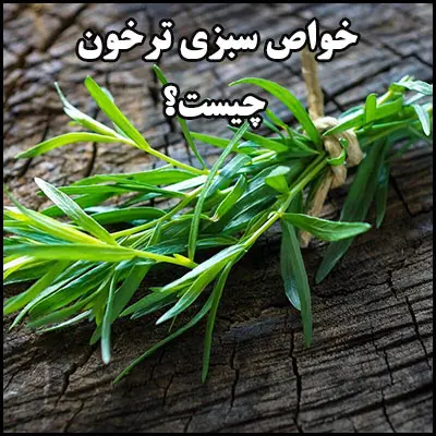 این سبزی منبع بسیار خوبی از آهن، کلسیم و منگنز است | استحکام استخوان، دندان، حفظ سلامت قلب و کاهش درد قاعدگی با این سبزی همه چی تموم