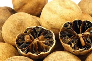 عمرا اگه میدونستی نباید لیموعمانی موجود در غذا رو خورد