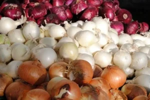 عمرا اگه میدونستی هر رنگ پیاز برای چی خوبه | یه عمر اشتباهی از پیازهای مختلف استفاده میکردیم